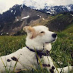 Meet your Posher, Isabelle